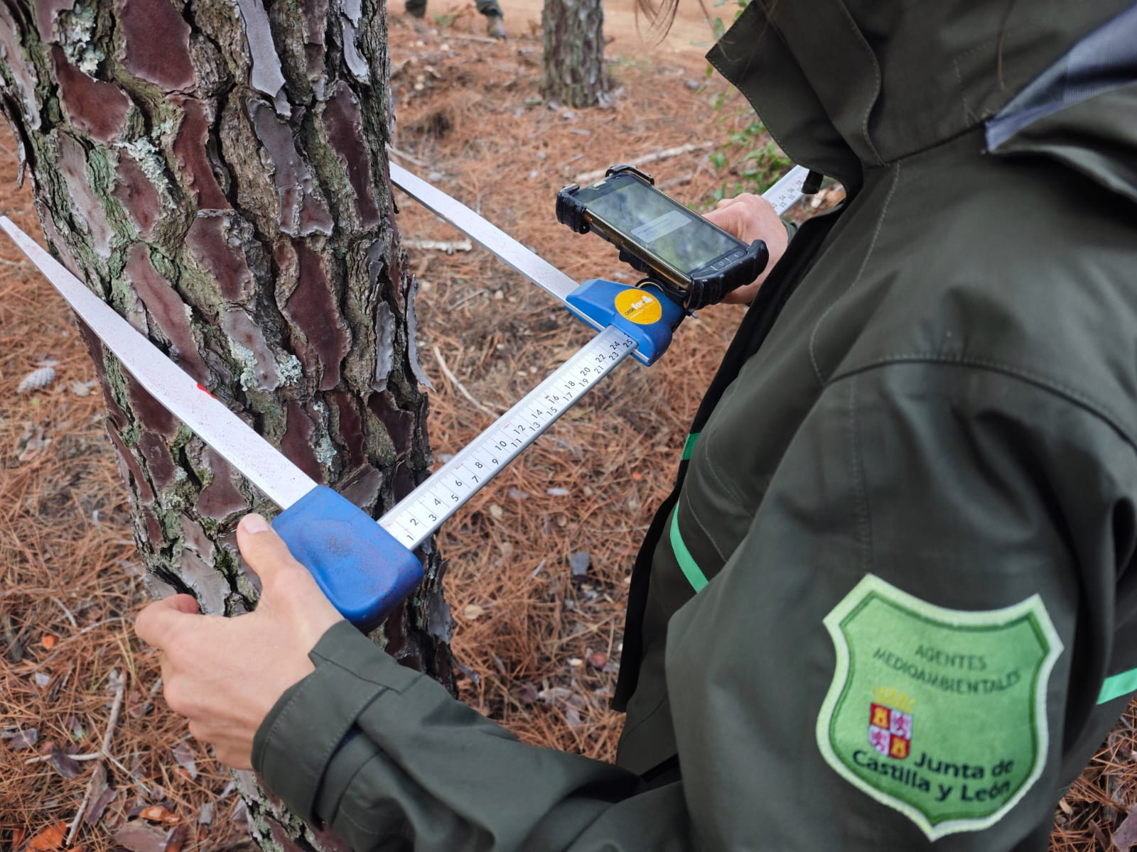 SISILV is promoting the comprehensive digitization of fieldwork in forest management