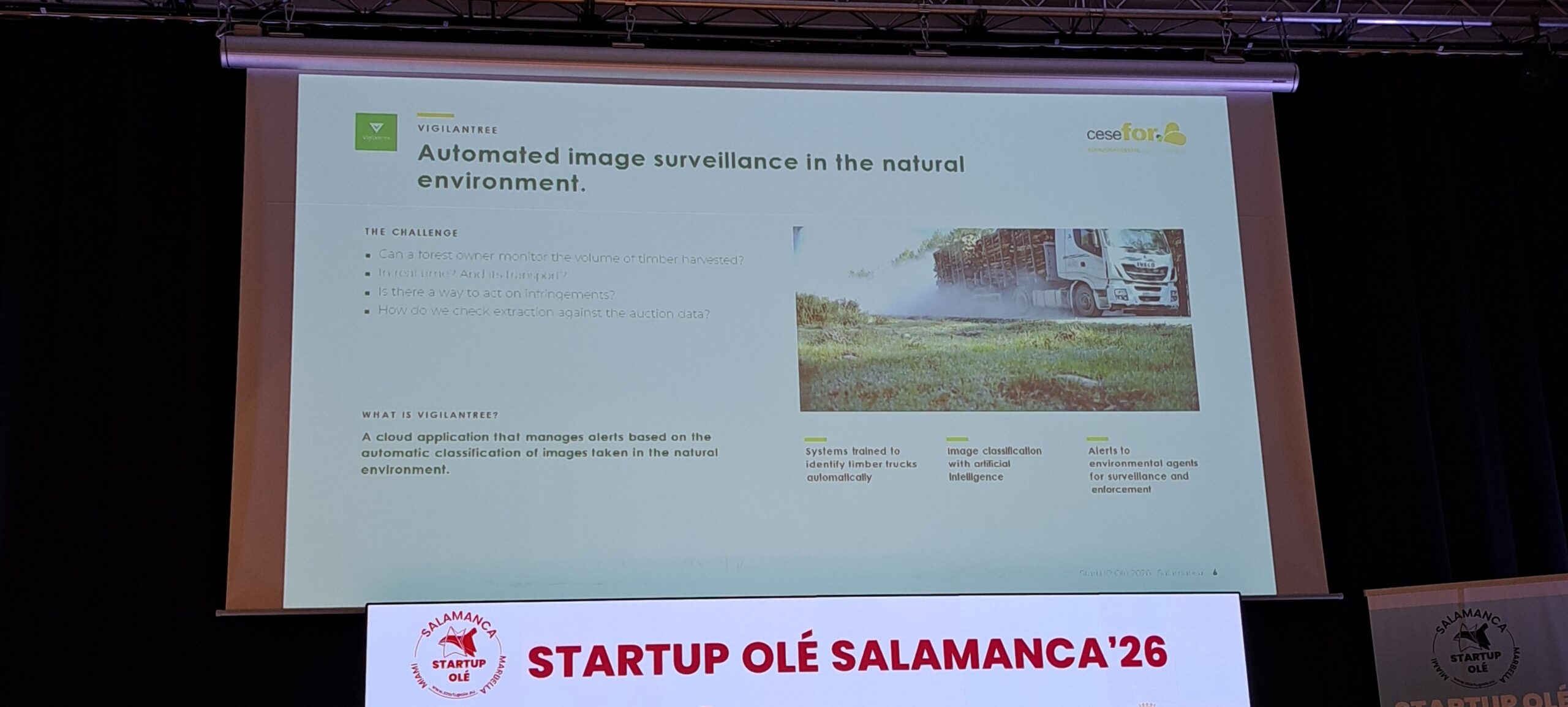 StartupOLE 2